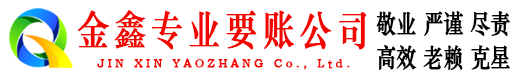 罗定清账公司